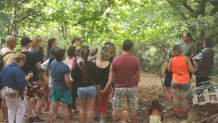 Visite : Le Rucher des Arts - 