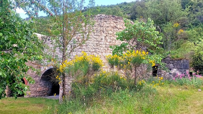 Visite du Four à Chaux