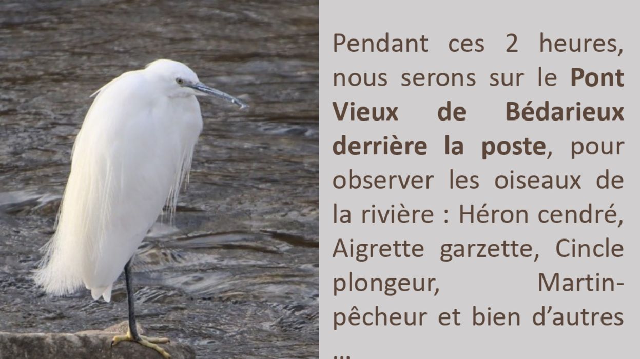 Tout le monde sur le pont - 