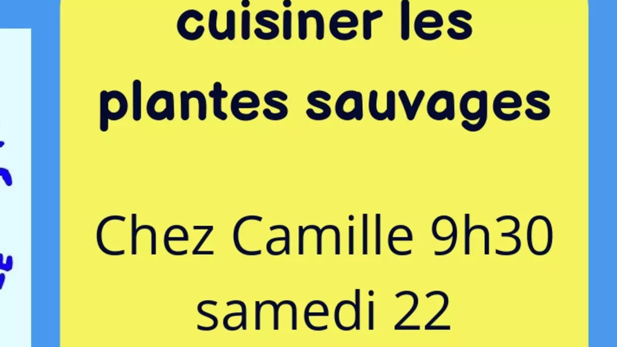Cuisiner les plantes sauvages