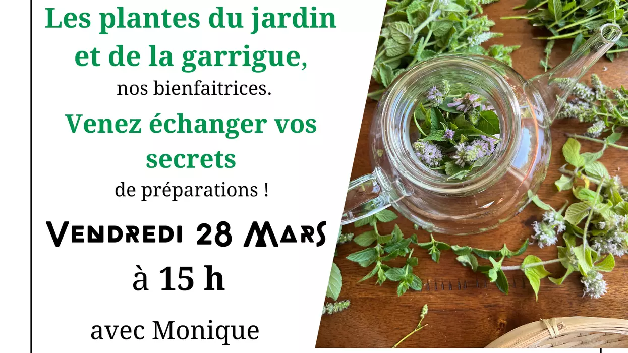Échange partage Convivialité : les plantes du jardin et de la garrigue !