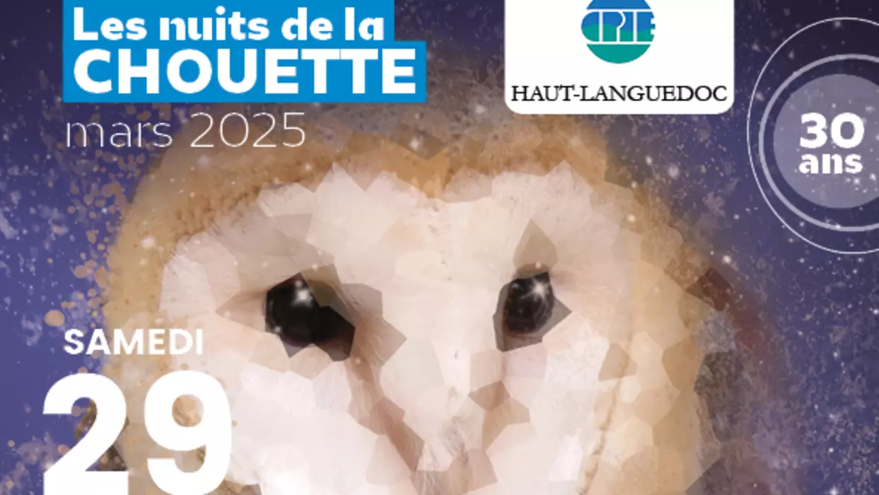 Nuit de la chouette - 