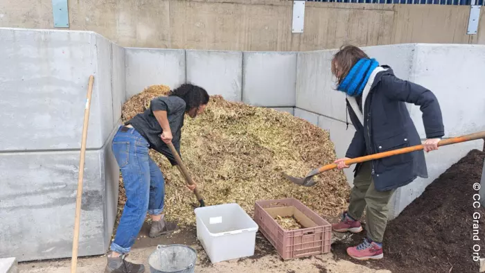Distribution gratuite de broyat et de compost