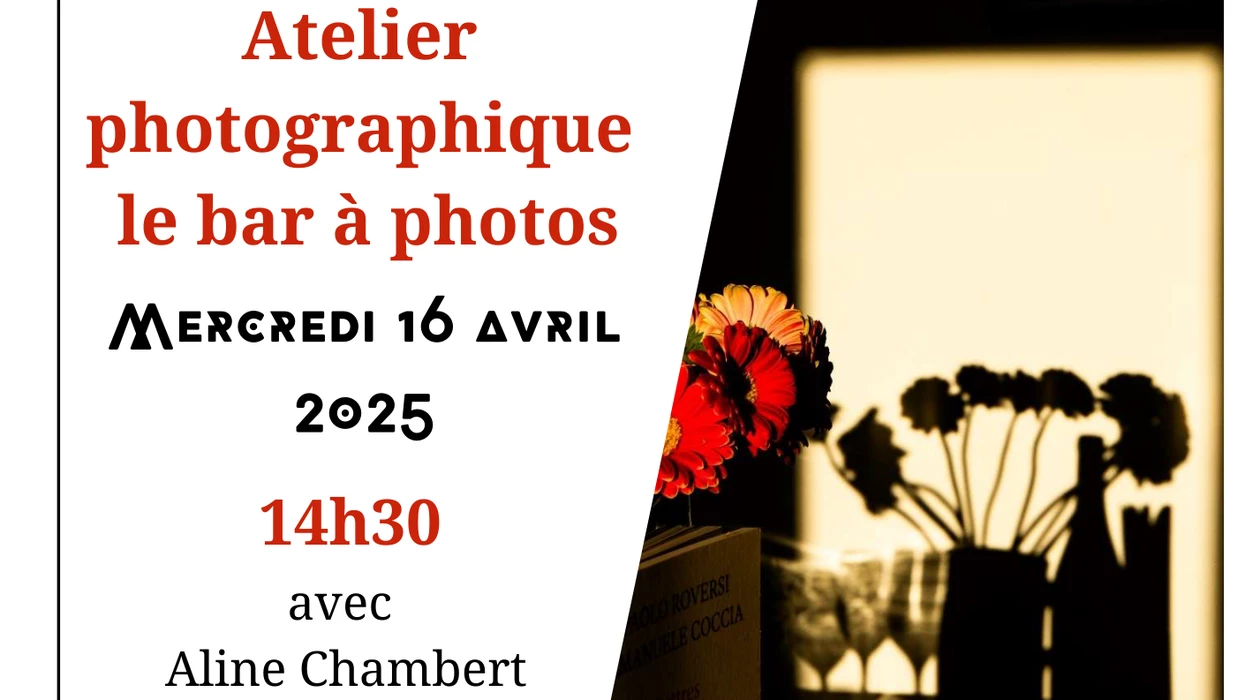 L’atelier des curieux : le bar à photos d’Aline Chambert