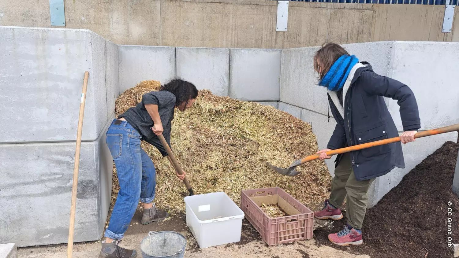 Distribution gratuite de broyat et de compost
