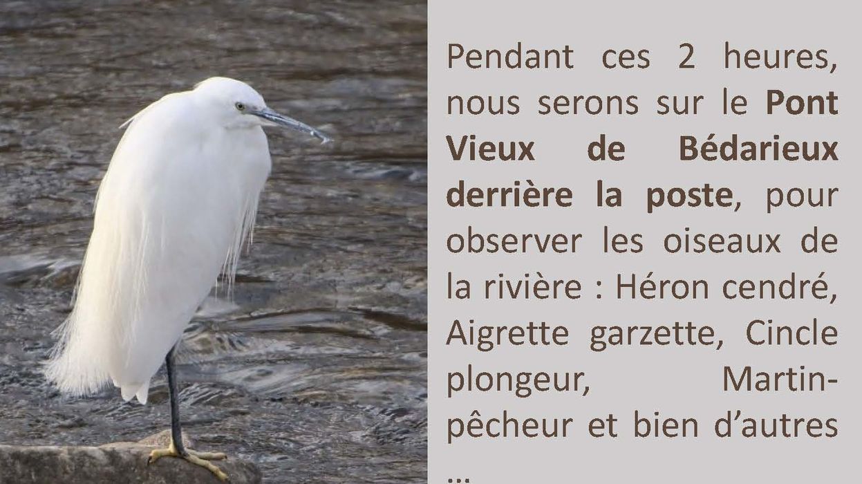 Tout le monde sur le pont - 