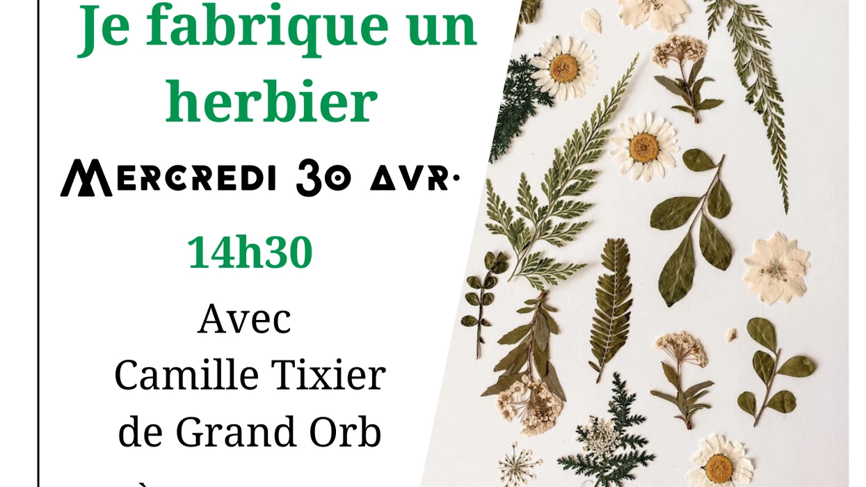 L’atelier des curieux : je fabrique mon herbier