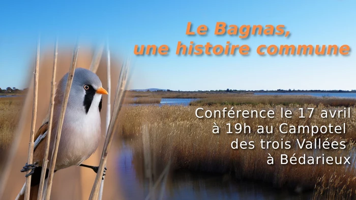 La réserve naturelle nationale de Bagnas