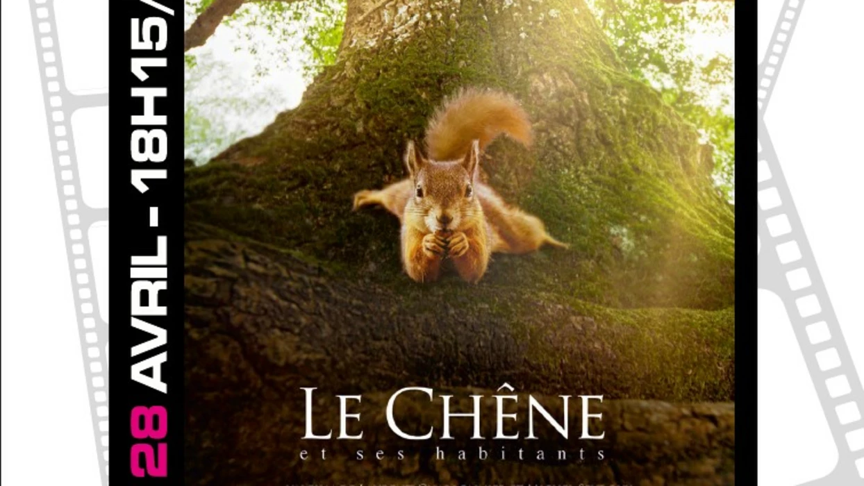 Le Chêne et ses habitants