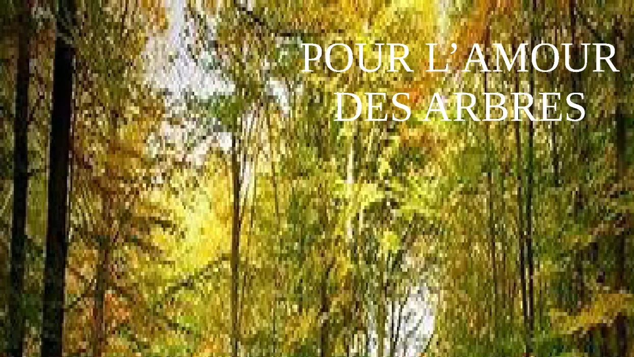 Pour l'amour des arbres, exposition de tableaux - 