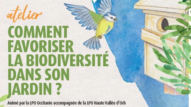 Comment favoriser la biodiversité dans son jardin