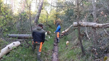 Newsletter du 30 avril 2025