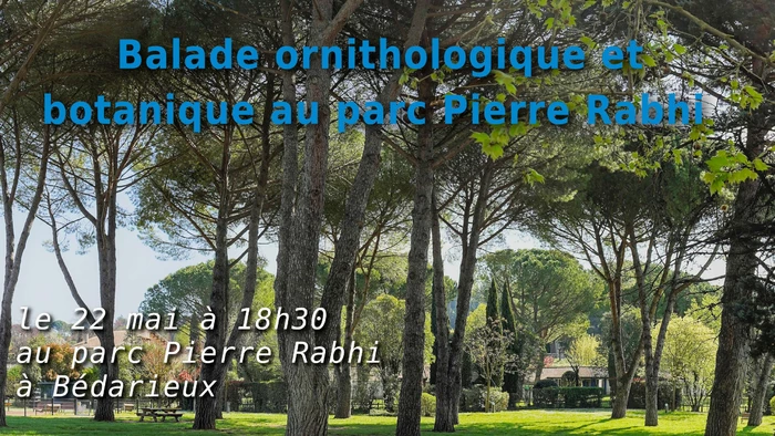Balade ornithologique et botanique