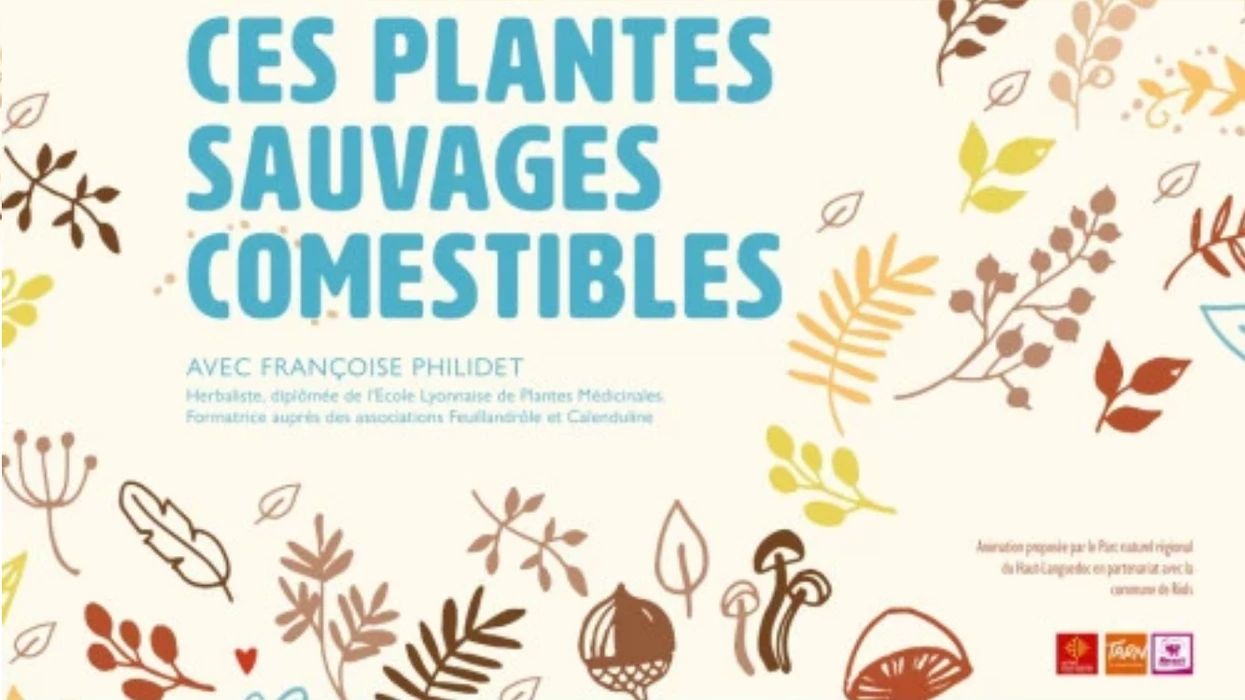 Ces plantes sauvages comestibles