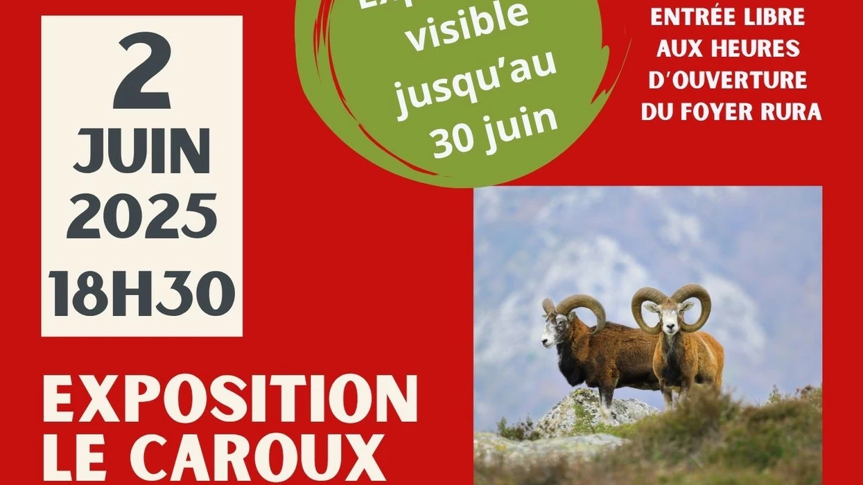 Le Caroux, ses paysages, ses mouflons