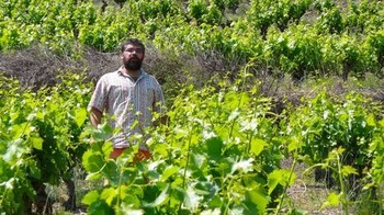 Visite : Domaine Jouvet