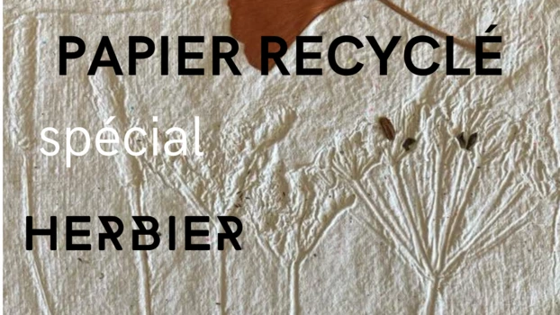 L’atelier des curieux : papier recyclé spécial herbier