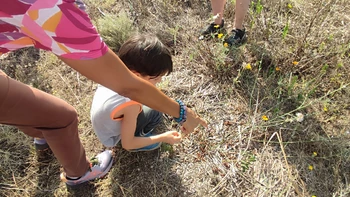 Visite : Le Jardin Debout