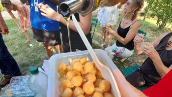 Visite : Quelle histoire ces pois chiches de Carlencas !