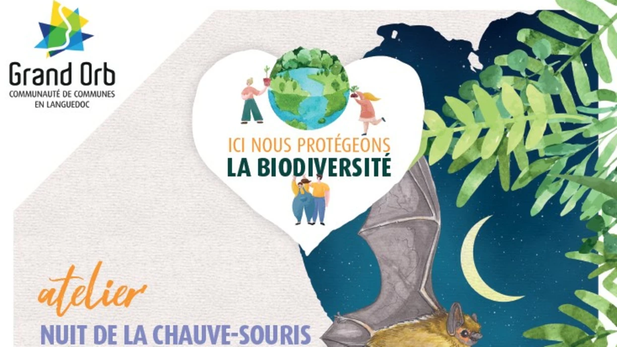 Nuit de la chauve-souris