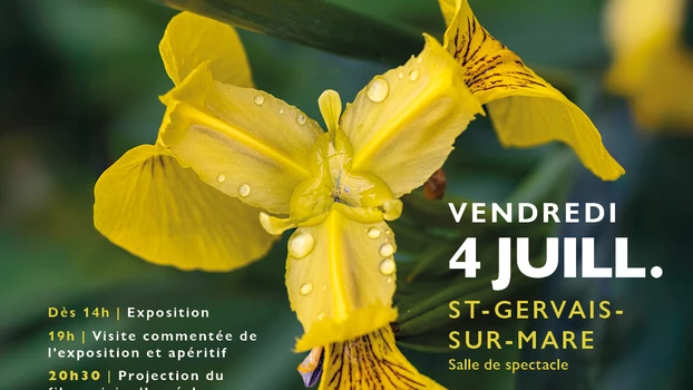 De Flora e d’Aiga, expo et film