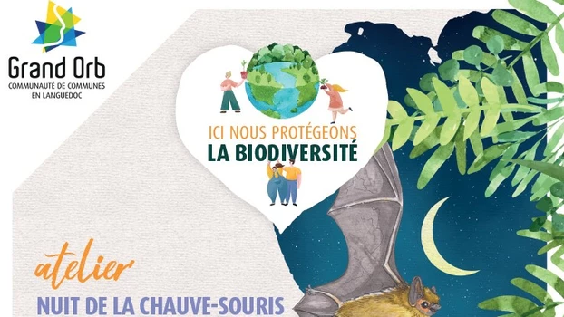 Nuit de la chauve-souris