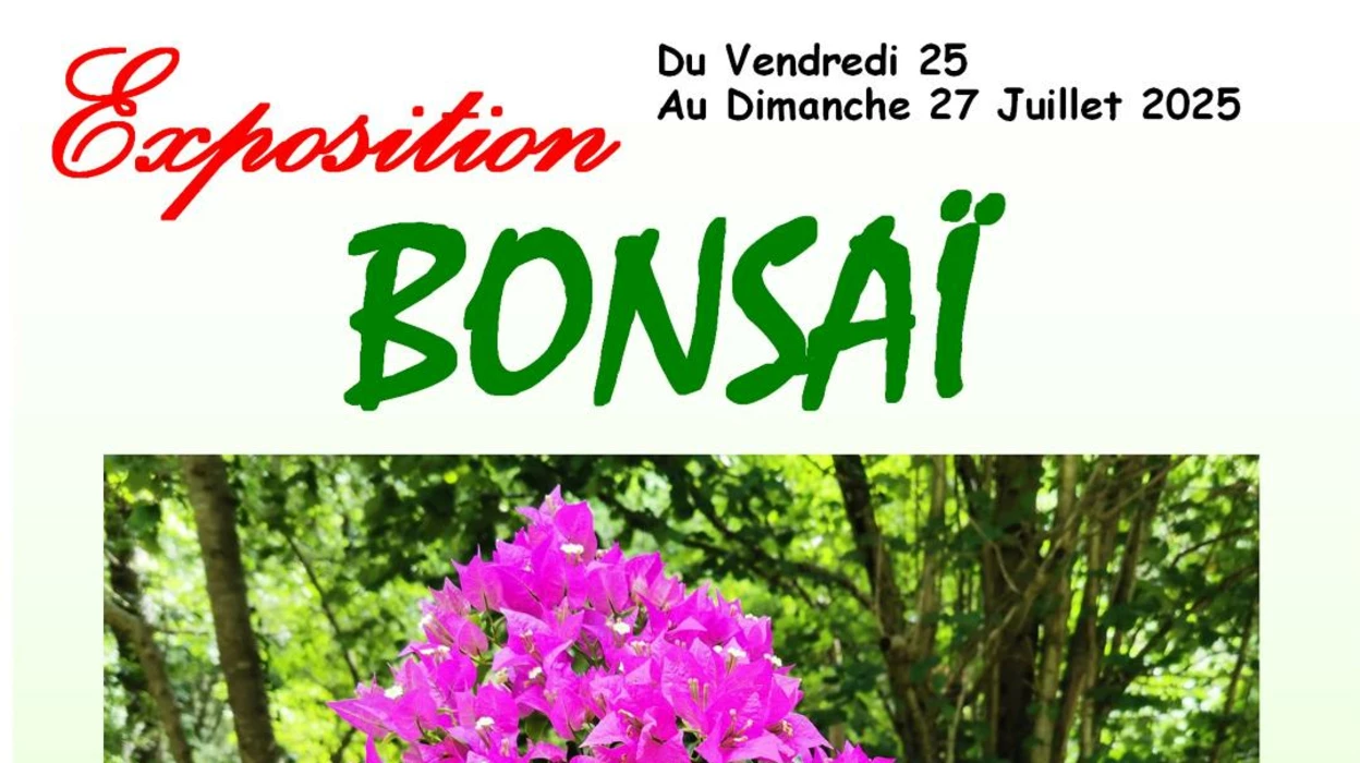 Exposition Bonzaï et marché artisanal