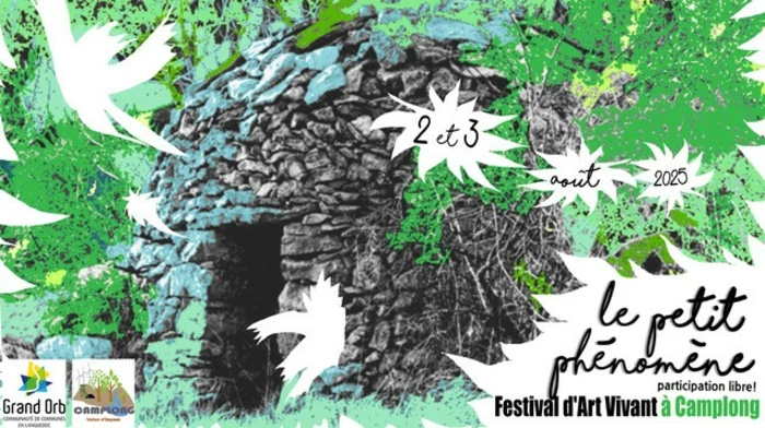 Festival Le Petit Phénomène