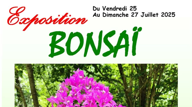 Marché artisanal