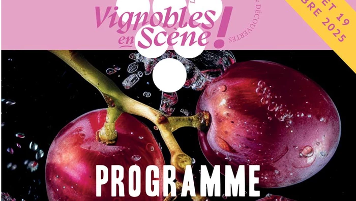 Vignobles en scène