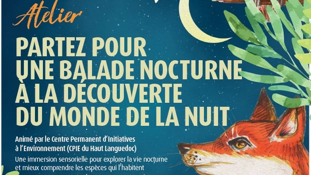 A la découverte du monde de la nuit