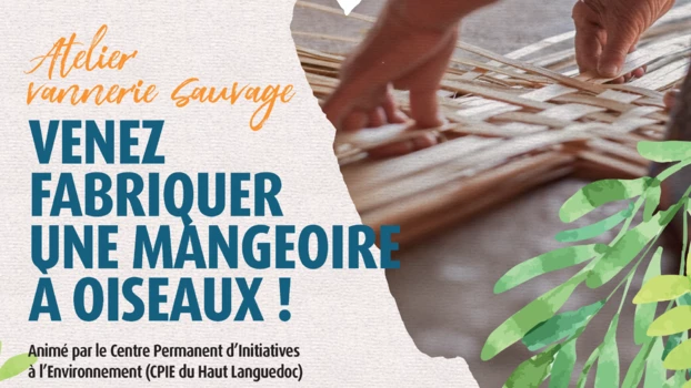 Vannerie sauvage : fabrication d'une mangeoire à oiseaux