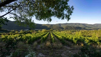 Vin et patrimoine