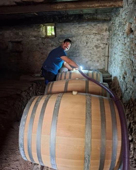 Découverte du métier de vigneron