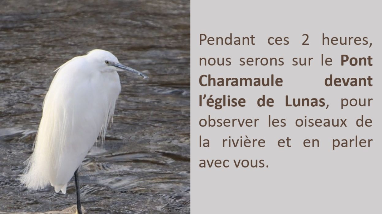Tout le monde sur le pont