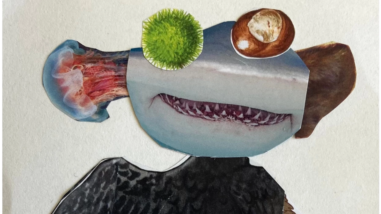 Arty, l’atelier créatif : invente ton monstre !