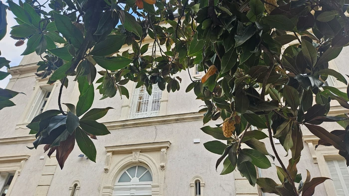 L'arboretum du Château