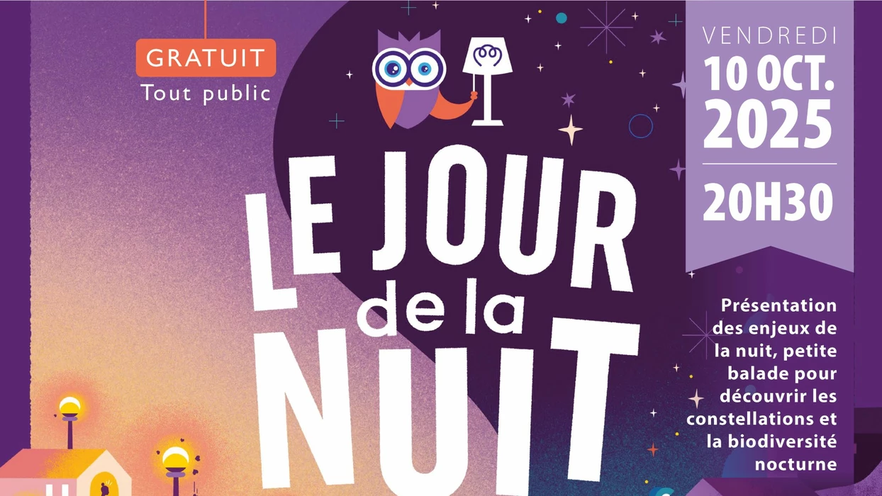 Le Jour de la nuit