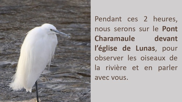 Tout le monde sur le pont