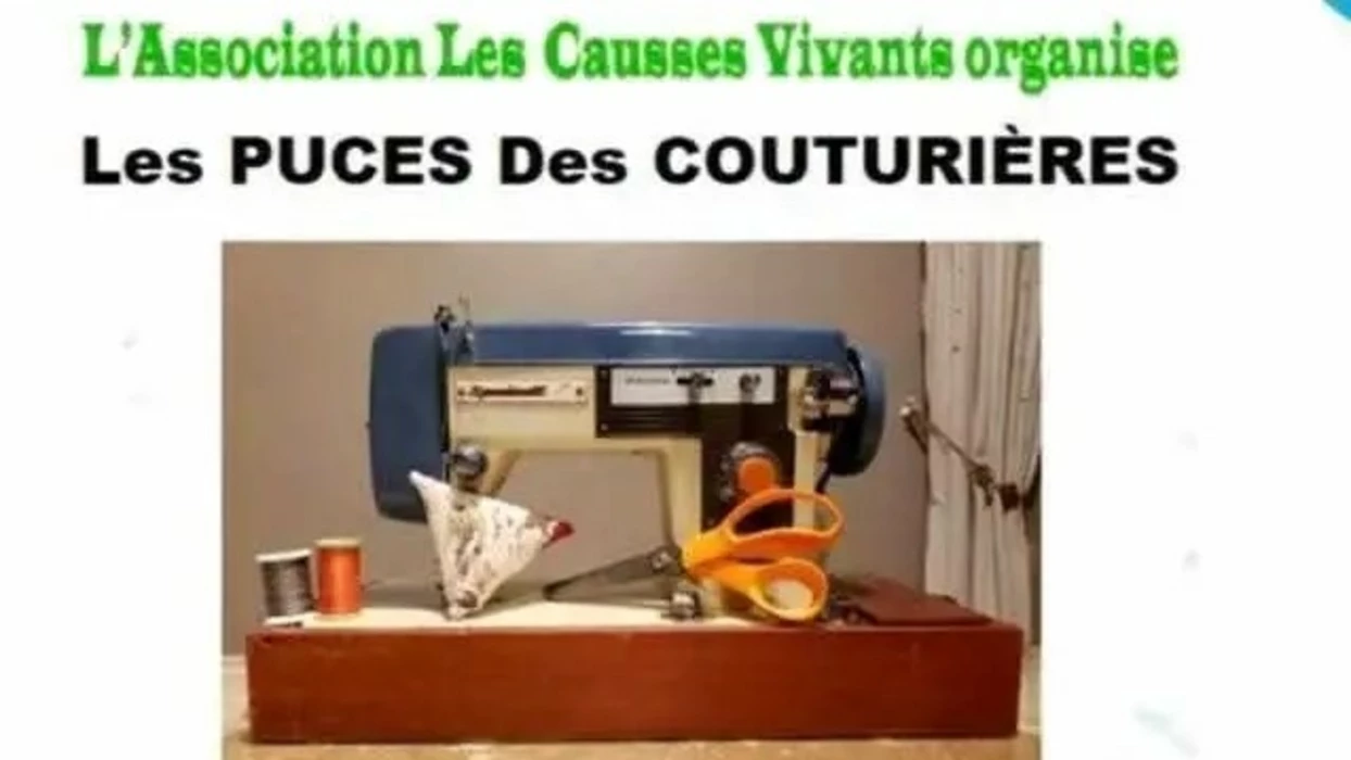 Les puces des couturières