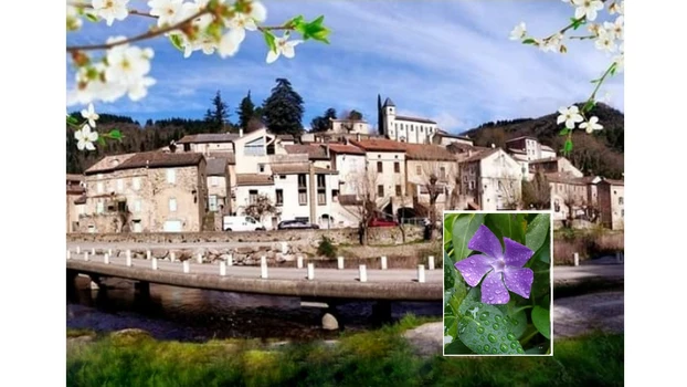 Christiane Fulcrand, « Flor'Avène » - 