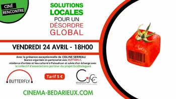 Solutions locales pour un désordre global
