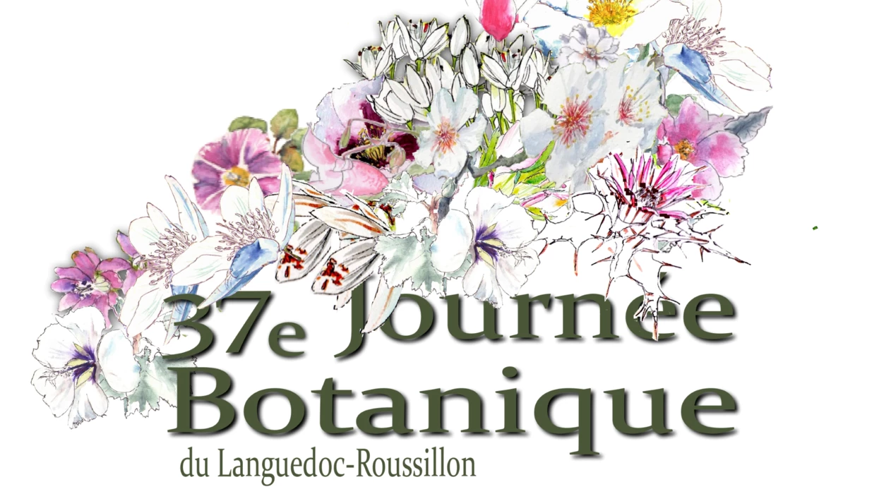37ème Journée Botanique du Languedoc-Roussillon - 