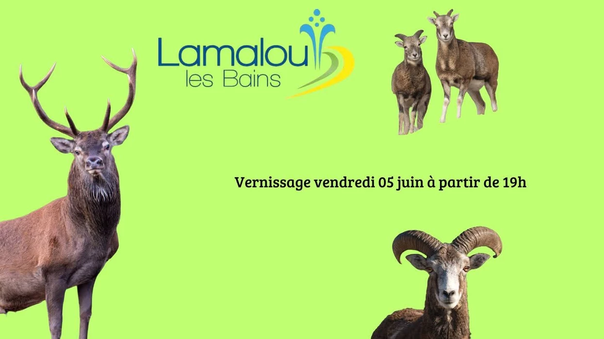 Exposition photo nature - 