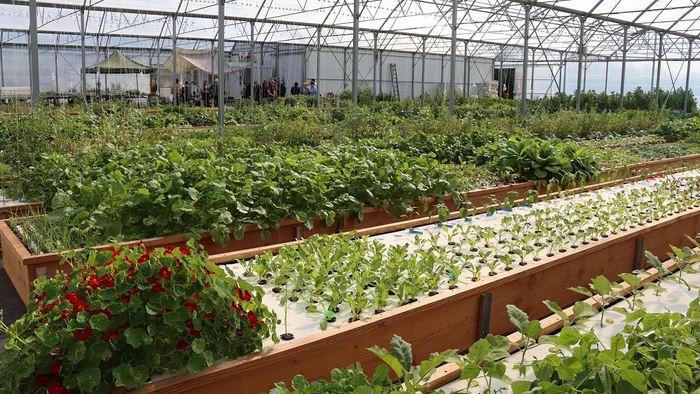 Visite : AgroSymbiose, ferme aquaponique - 