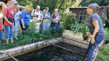 Visite : Pisciculture L'Echo des Sources