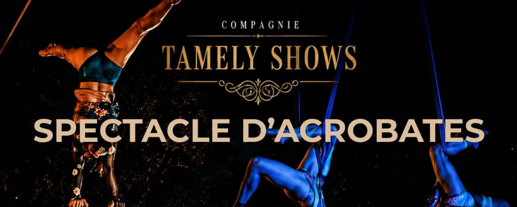 Spectacle d'acrobatie avec la Cie Tamely Show