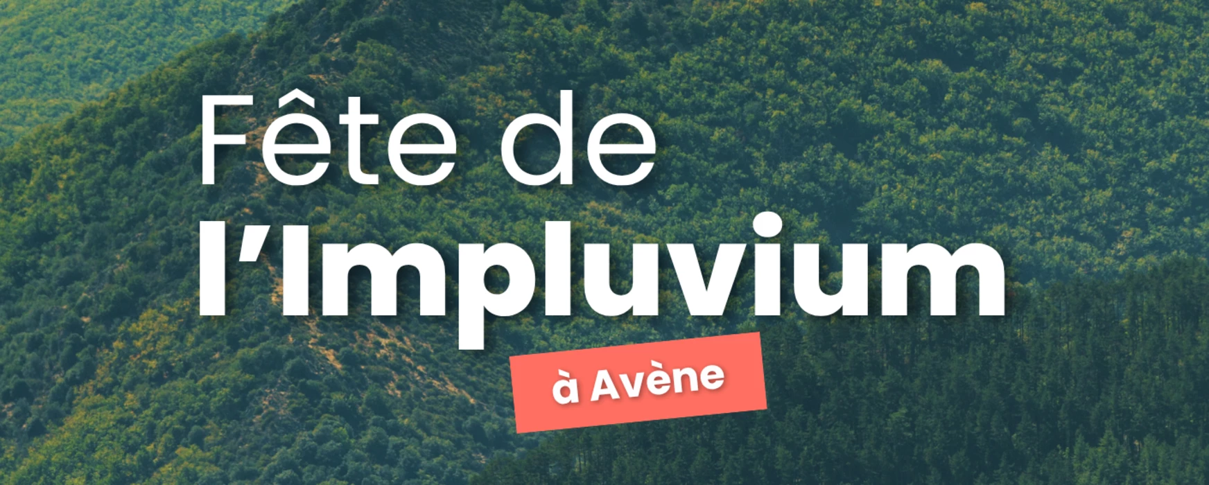 Fête de l'Impluvium - 