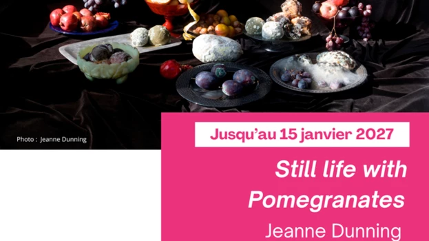 Still life with Pomegranates - 
