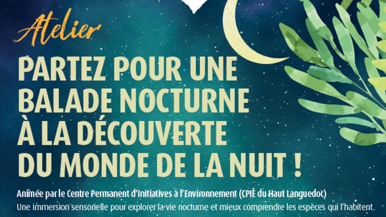 A la découverte du monde de la nuit - 